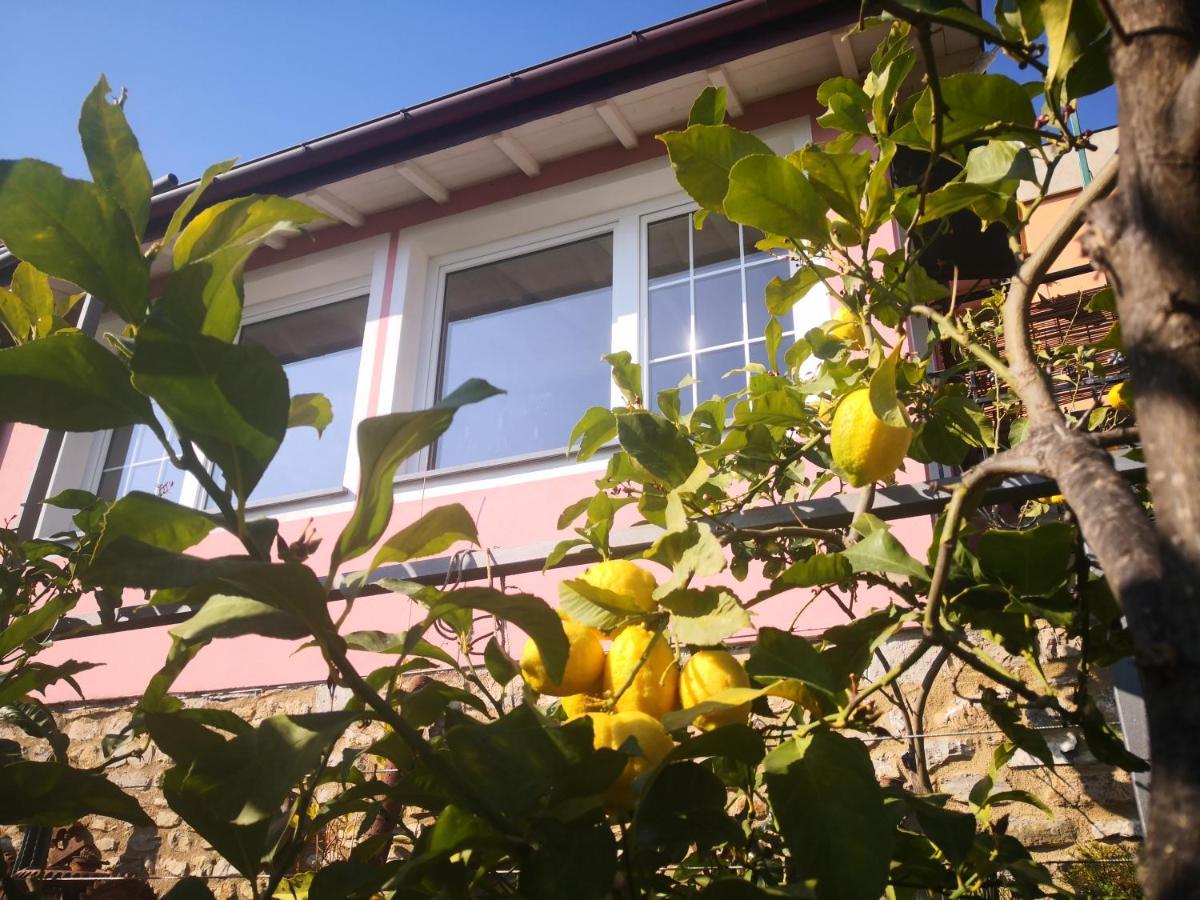 Florinda Lemon'S Suite Cervo Exterior foto