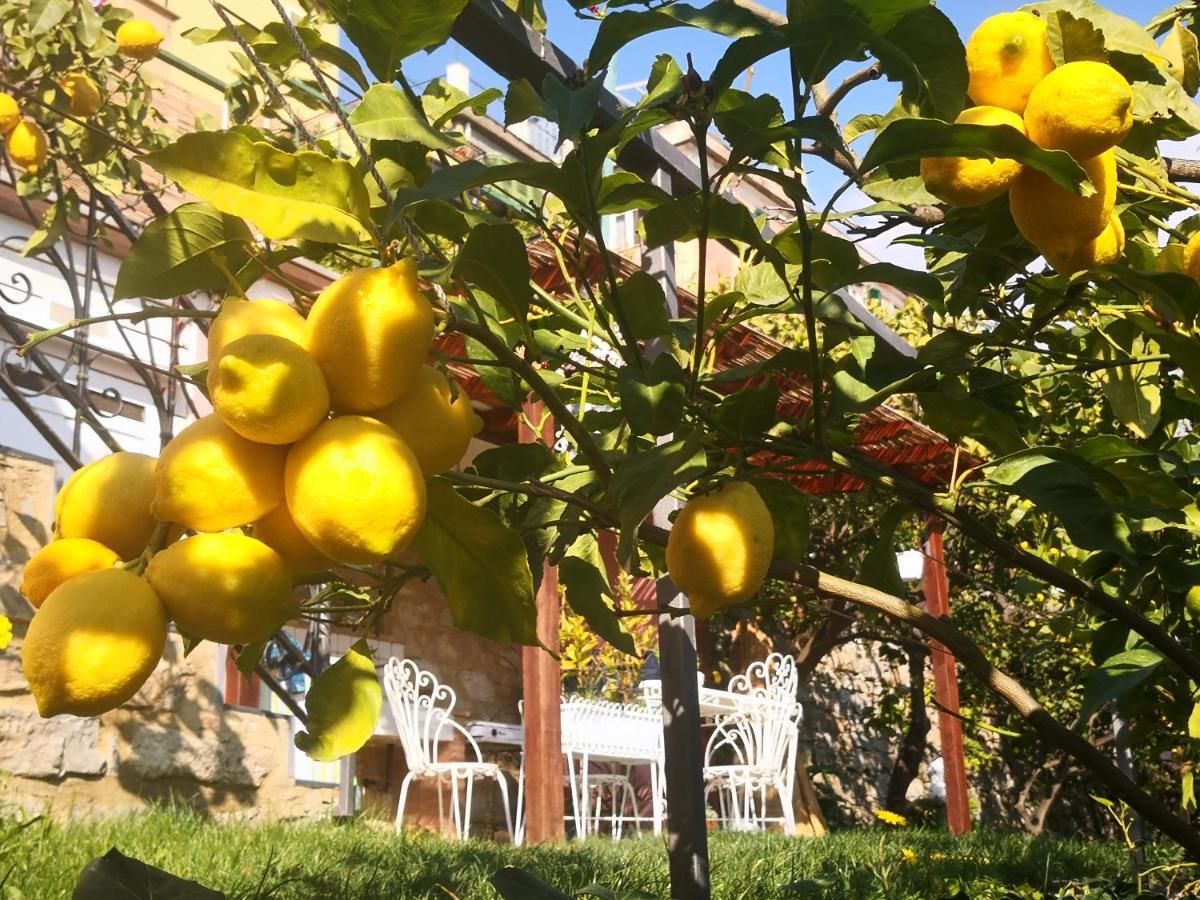 Florinda Lemon'S Suite Cervo Exterior foto