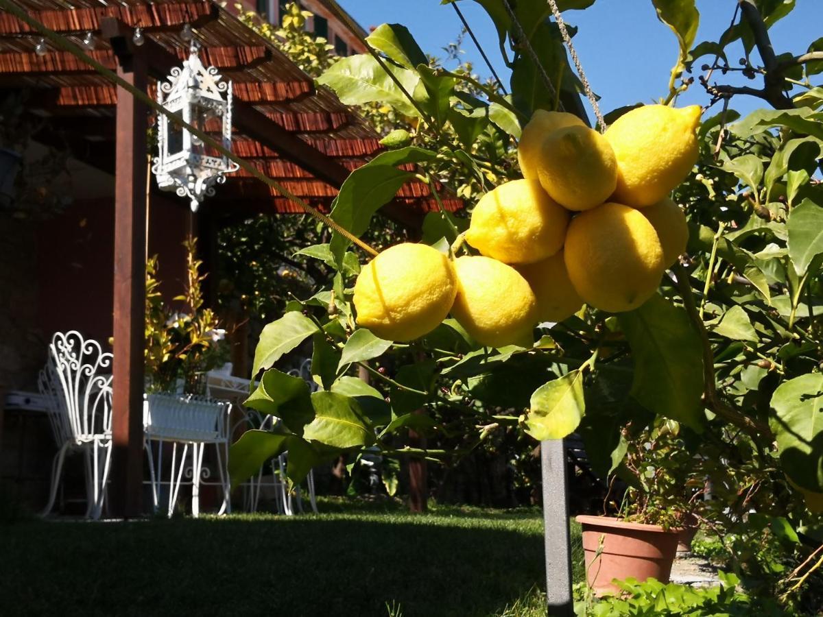 Florinda Lemon'S Suite Cervo Exterior foto