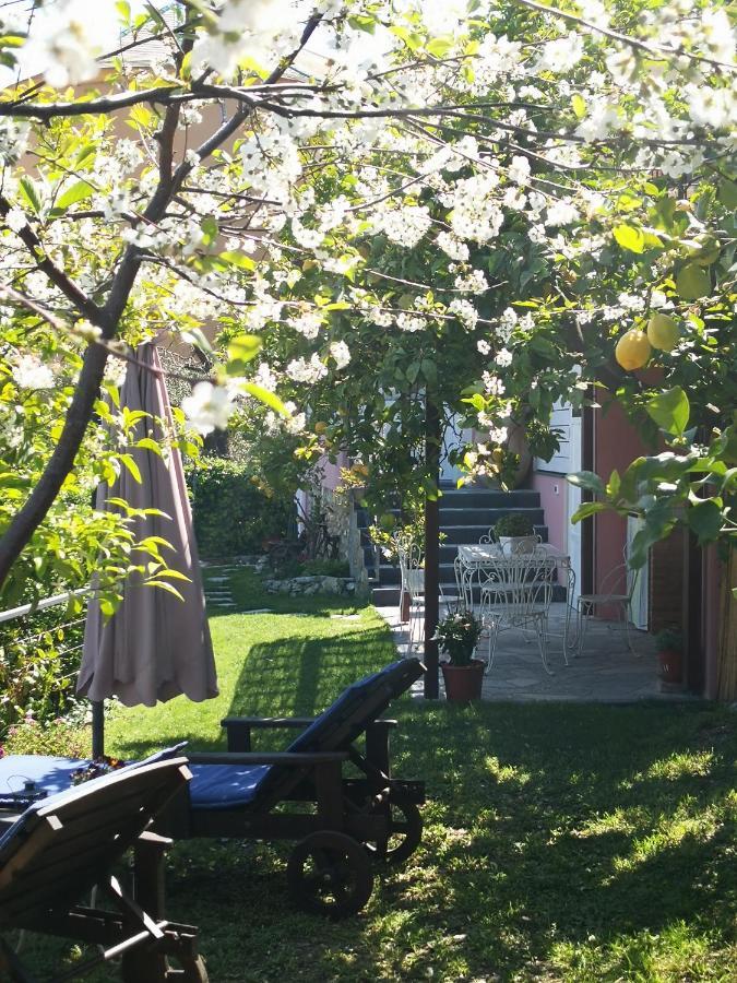 Florinda Lemon'S Suite Cervo Exterior foto