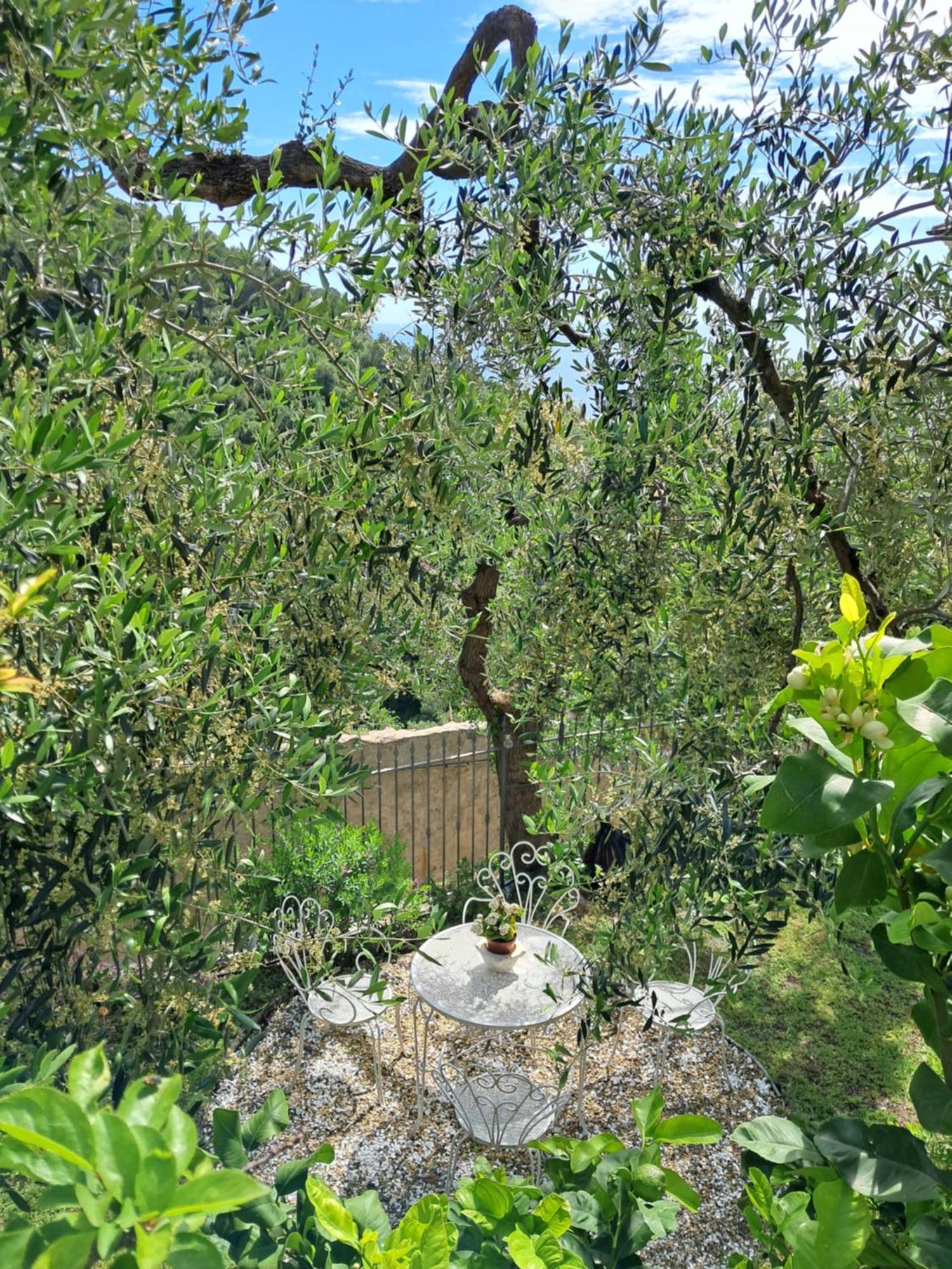 Florinda Lemon'S Suite Cervo Exterior foto