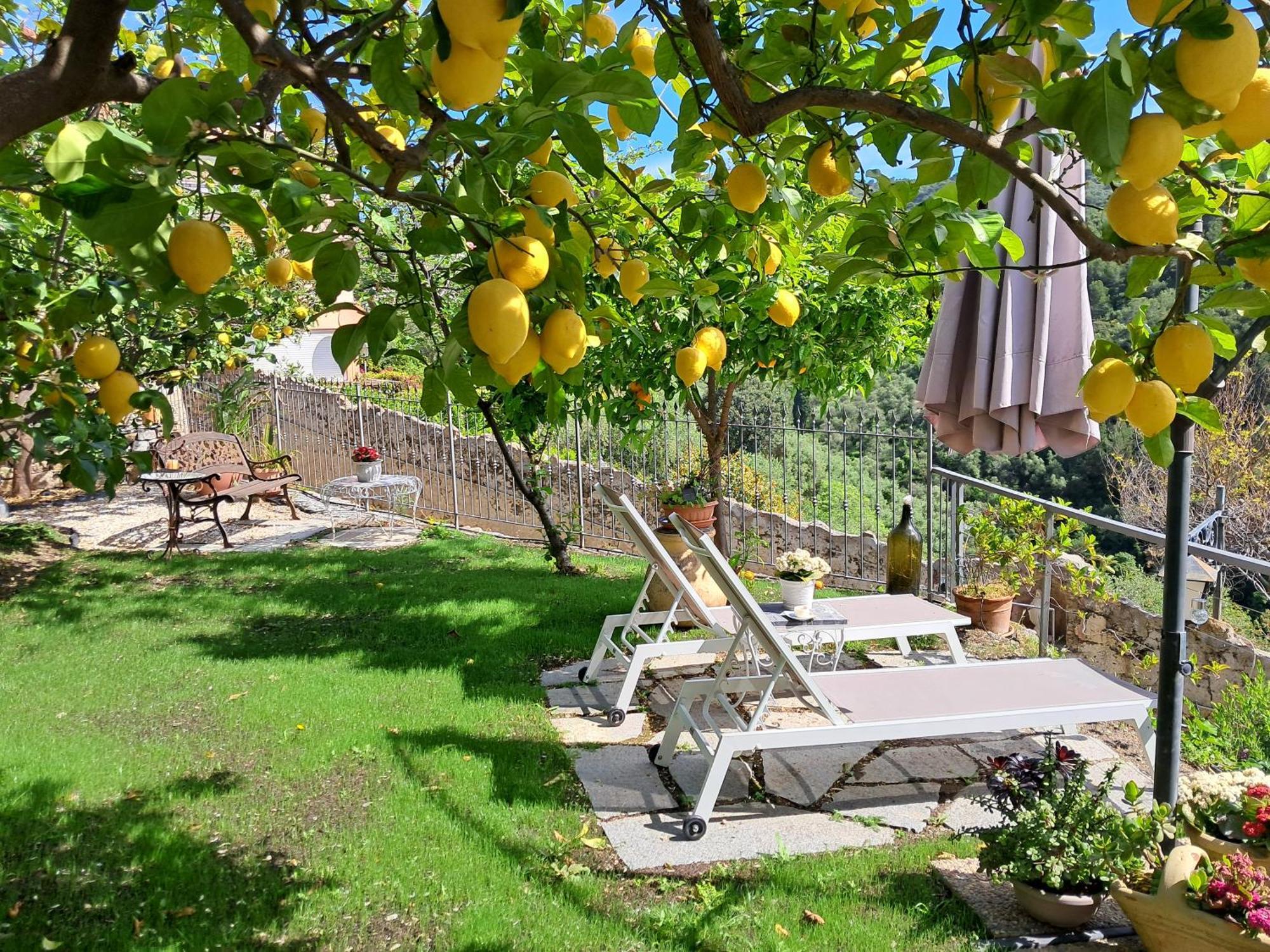 Florinda Lemon'S Suite Cervo Exterior foto